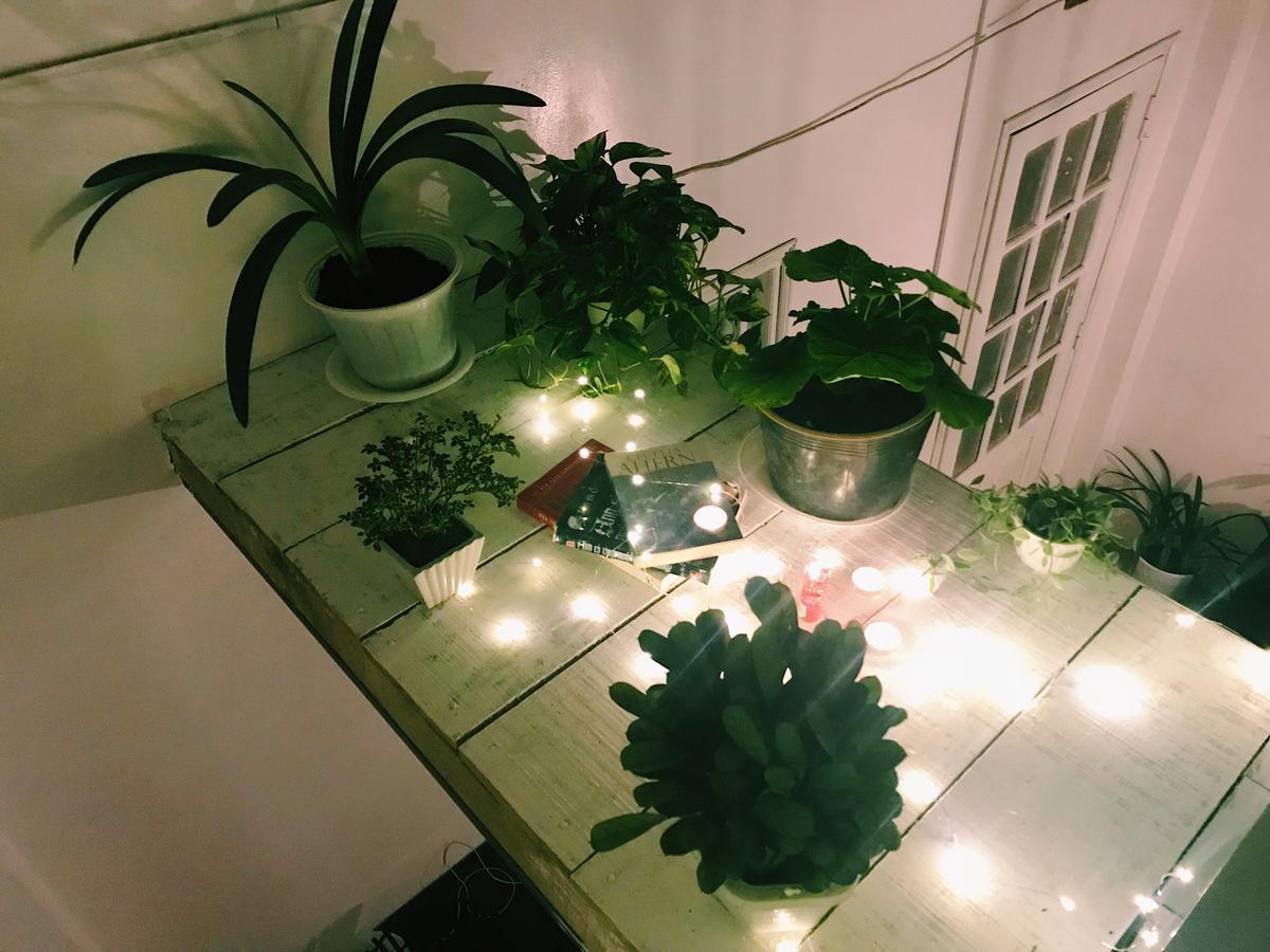 The Balcony Bnb Da Lat Kültér fotó